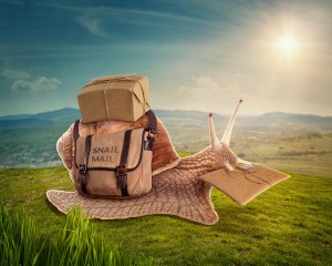 Sending snail mail is so mundane. Use these other magical means to connect with Lita Burke instead.