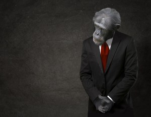 Those Clever Business Simians at WordPress.com Crunched the Numbers Those Clever Business Simians at WordPress.com Crunched the Numbers