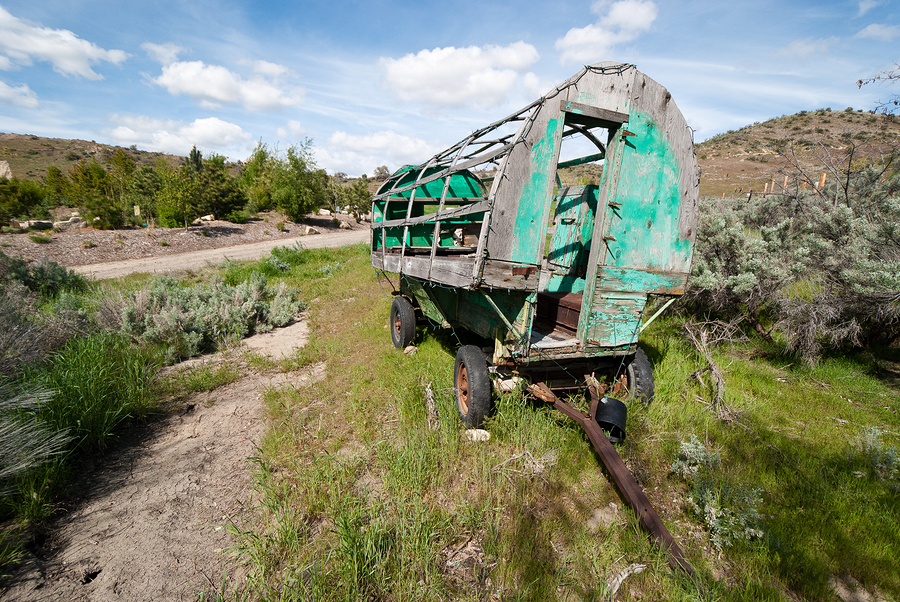 Lita’s Magic Show: Mandrakes and Minor&nbsp;Demons