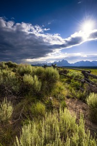Annie’s Neighbor Covets Her Family’s Pastureland