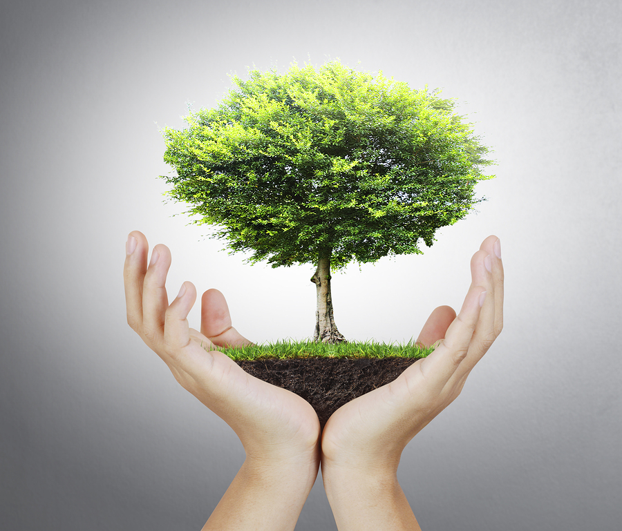 Dramatis Personæ: Bright