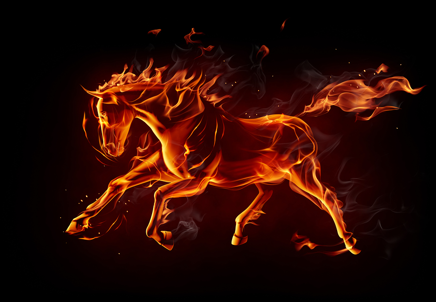 Bestiarum Vocabulum: Glitter&nbsp;Pony