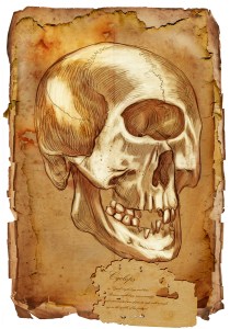 Phrenology is the Art of Measuring the Skull’s Dimensions