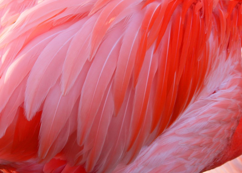 “Forever Boy” Takes Finalist in Readers’ Favorite&nbsp;Contest